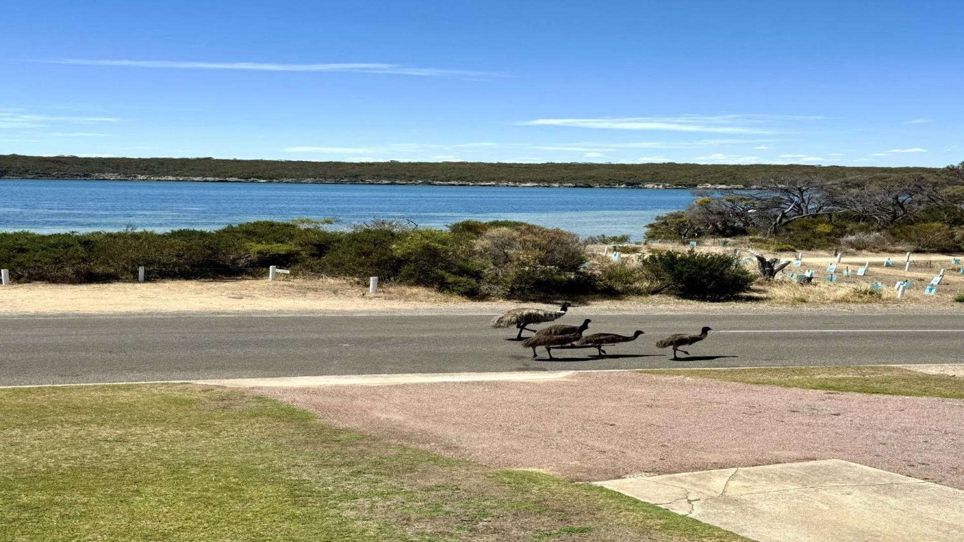 White Springs, Our Peaceful Holiday House In Coffin Bay Exteriér fotografie